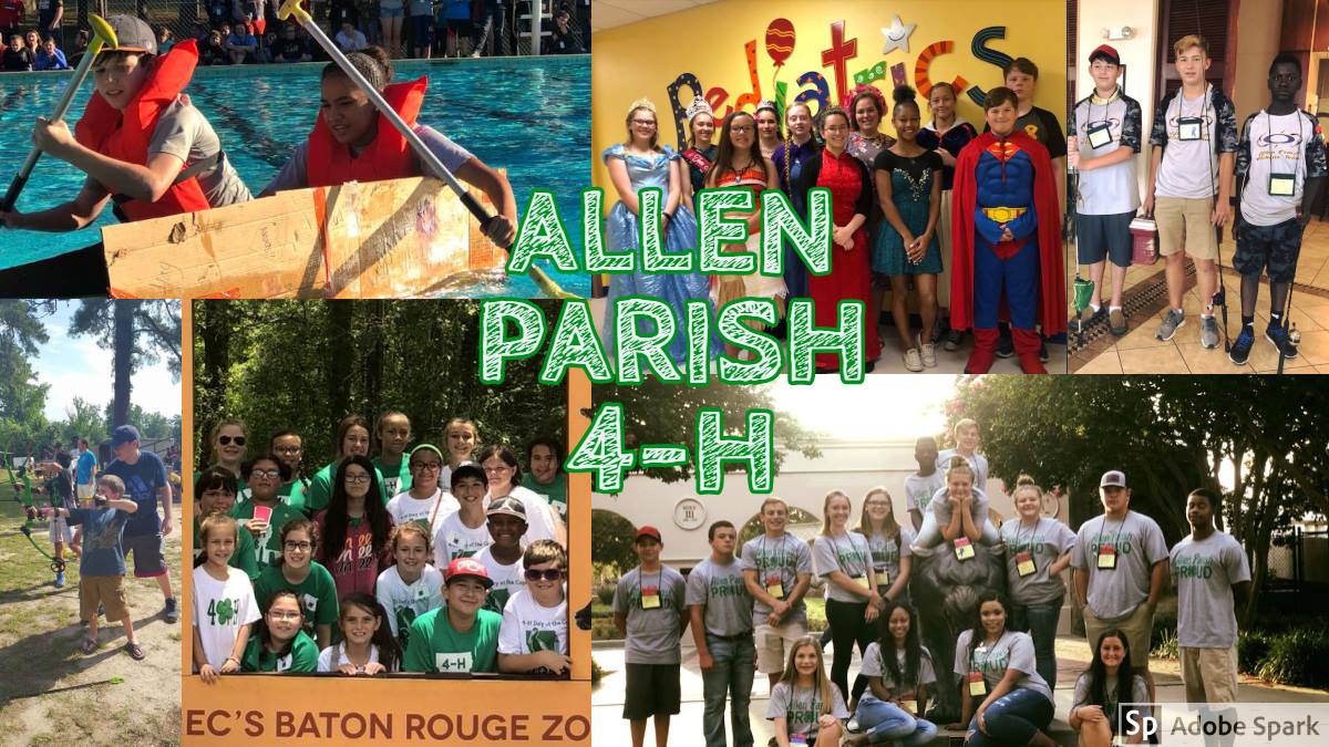 allen parish 4hjpg.jpg thumbnail